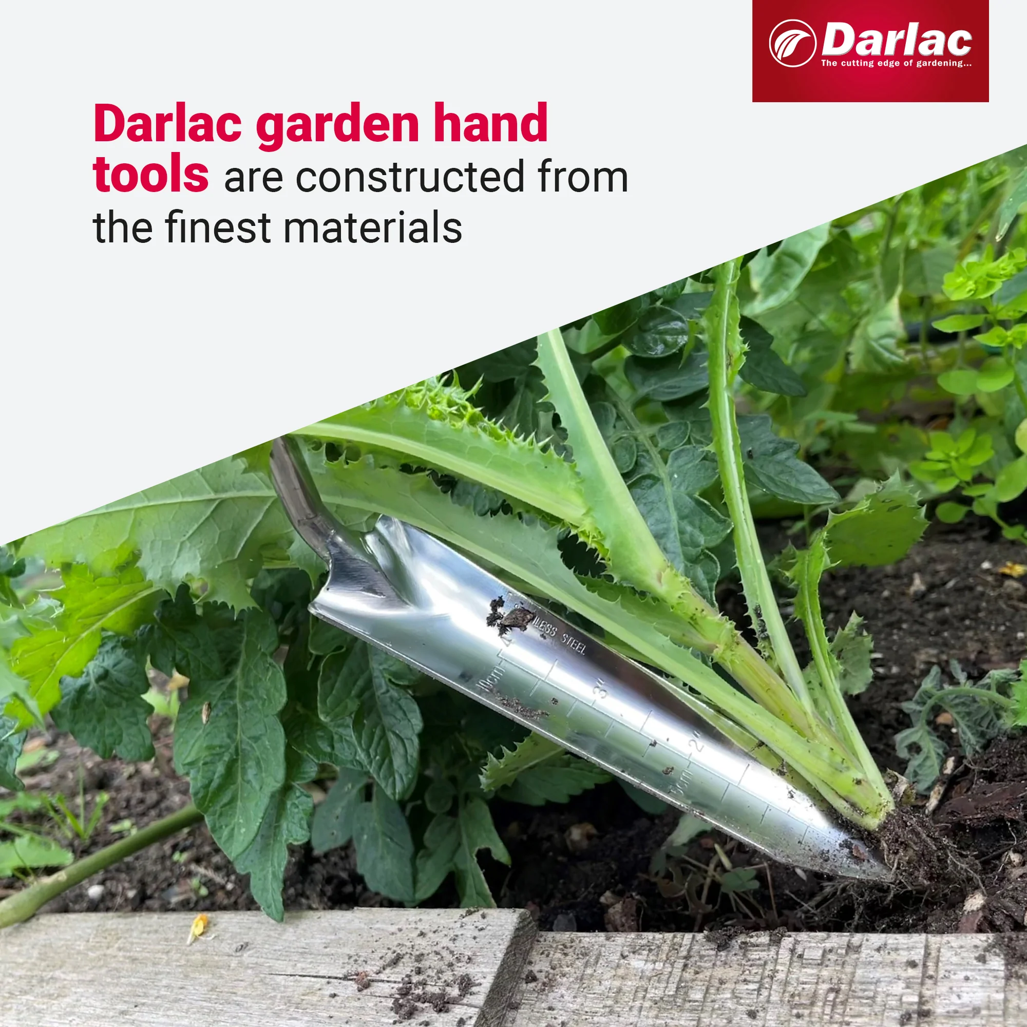Darlac Stainless Steel Rockery Trowel - Image 4