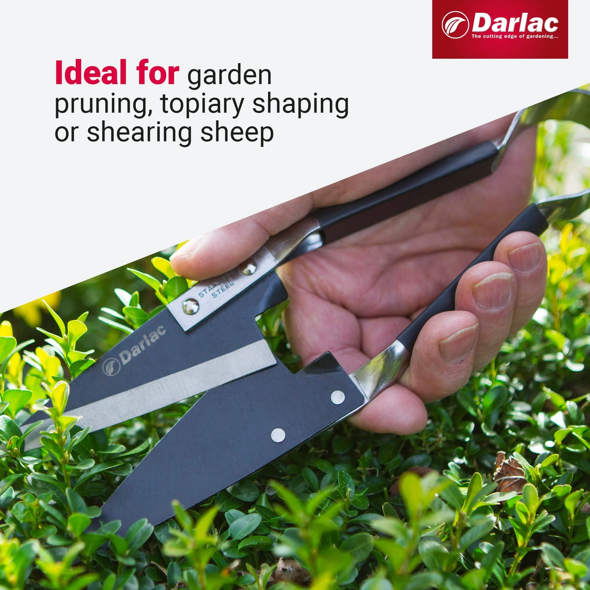 Darlac Stainless Steel Topiary Shear - Image 4