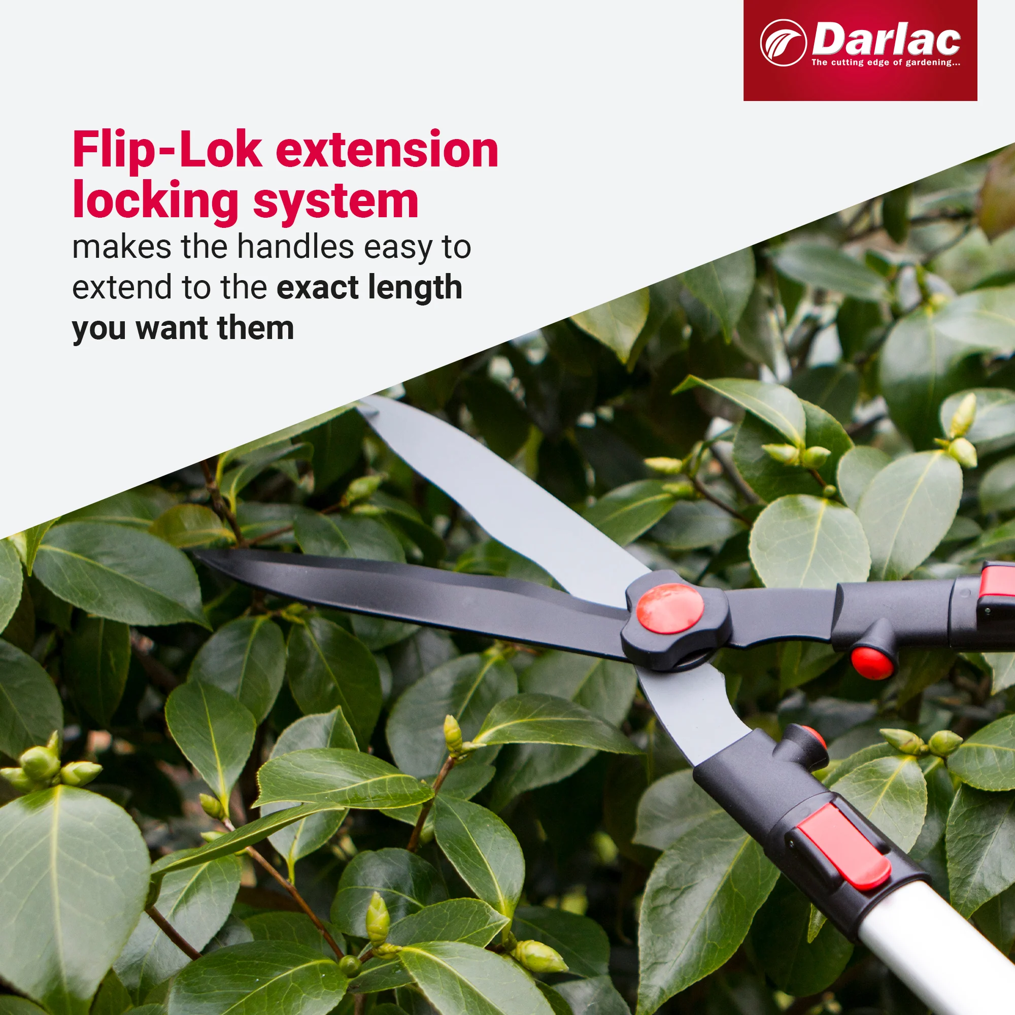 Darlac Telescopic Hedge Shear - Image 4
