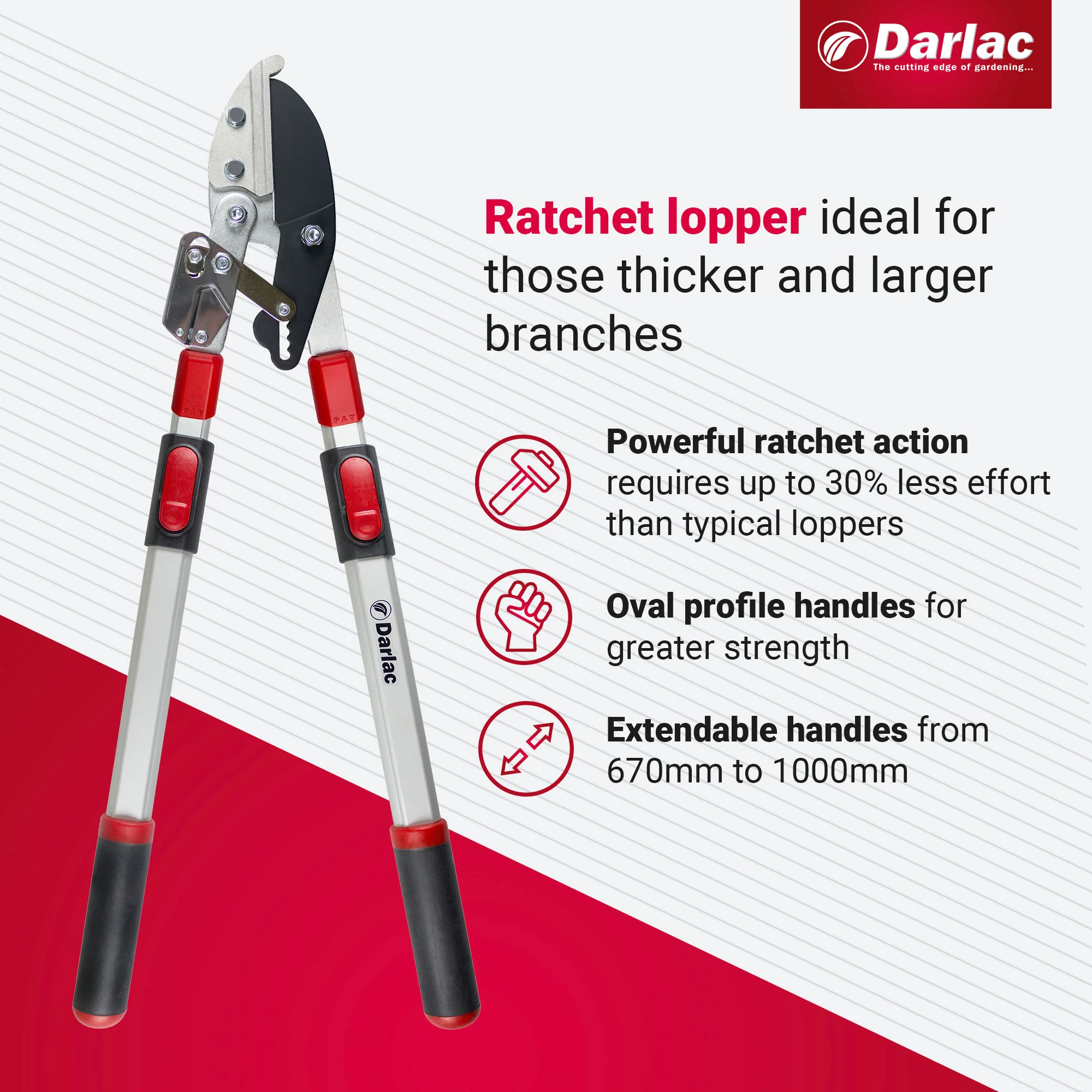 Darlac Telescopic Ratchet Lopper - Image 3