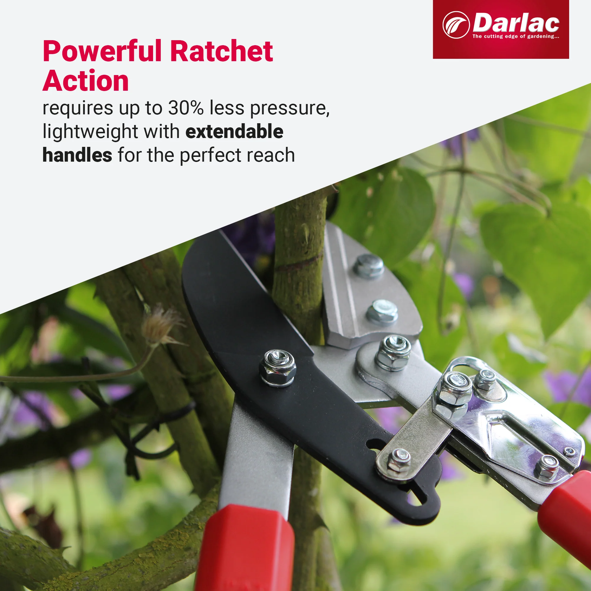 Darlac Telescopic Ratchet Lopper - Image 4