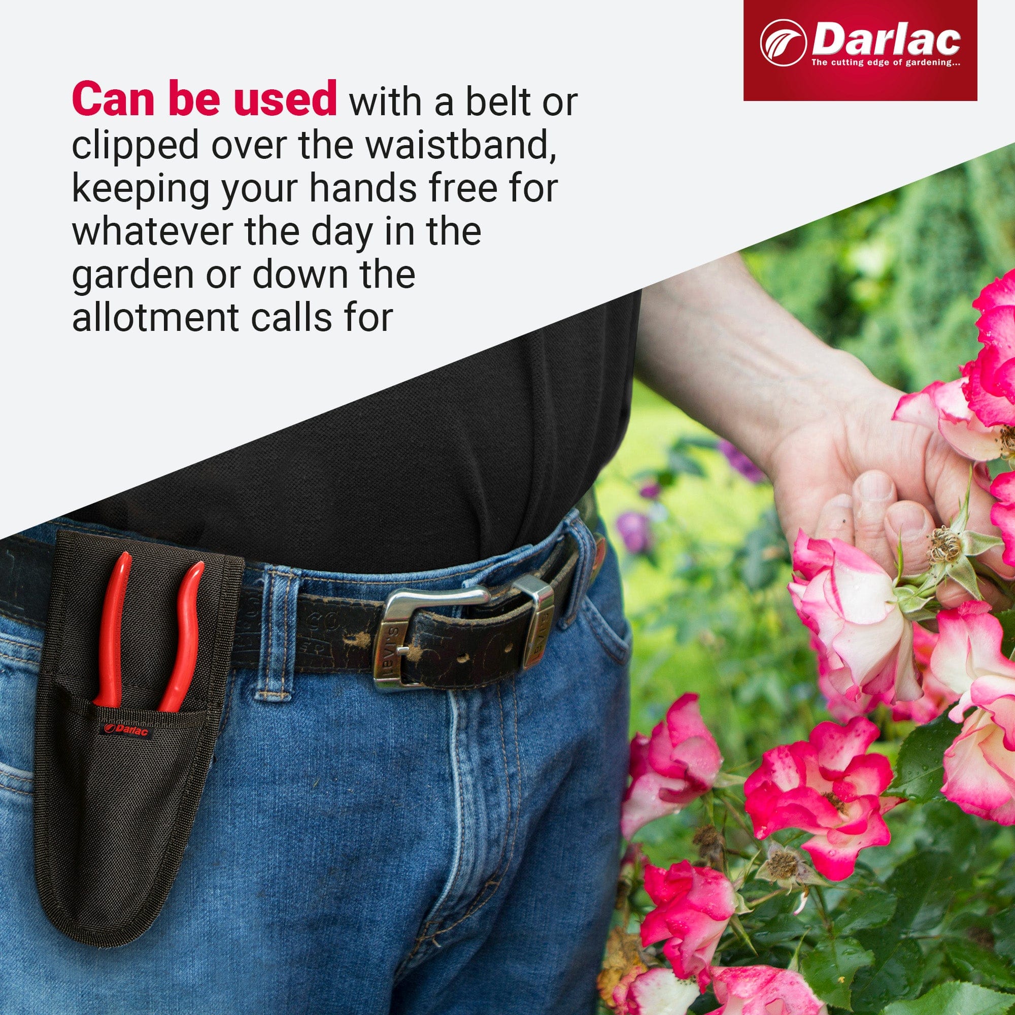 Darlac Tools Holster - Image 4