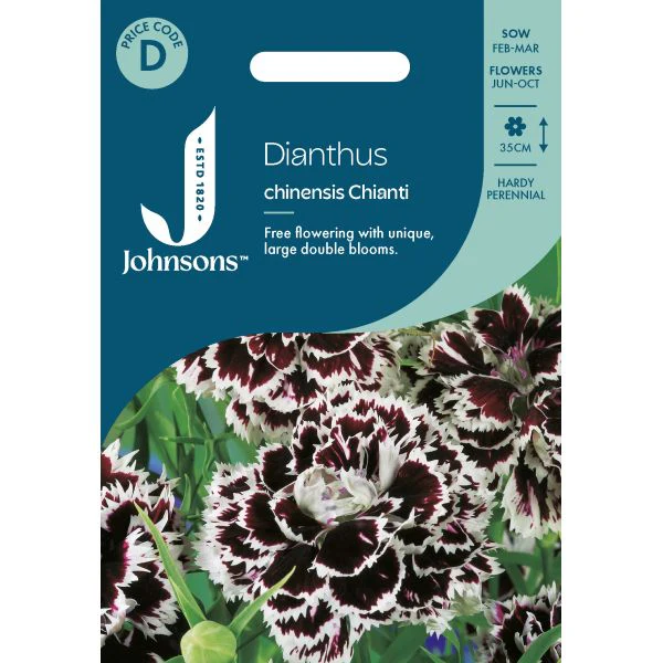Dianthus Chinensis Chian Seeds