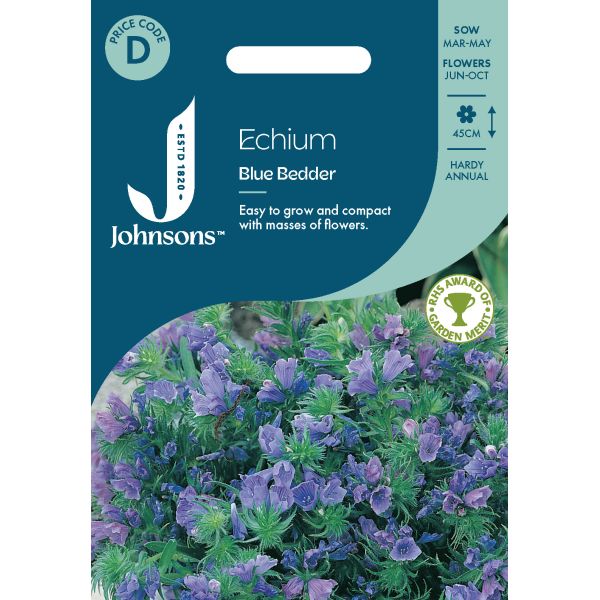 Echium Blue Bedder Seeds