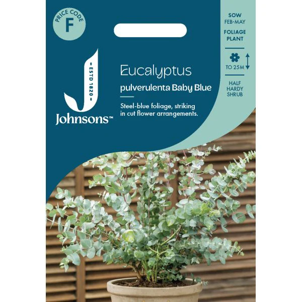 Eucalpytus pulverulenta Baby Blue Seeds