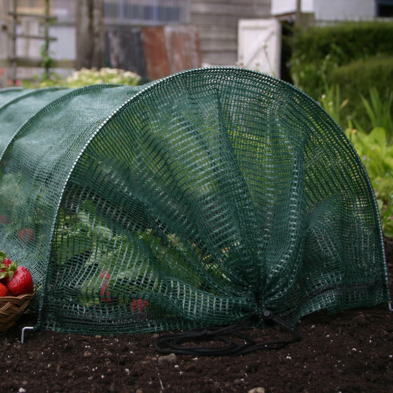 Giant Easy Net Tunnel - Image 3