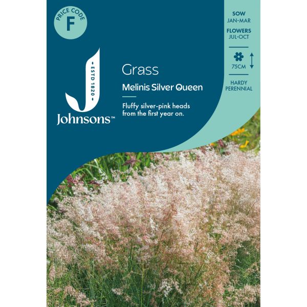 Grass Melinis Silver Queen Seeds