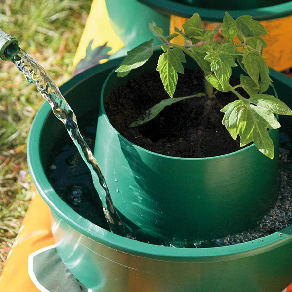 Growpot Tomato Growing Pot x 3 - Image 4