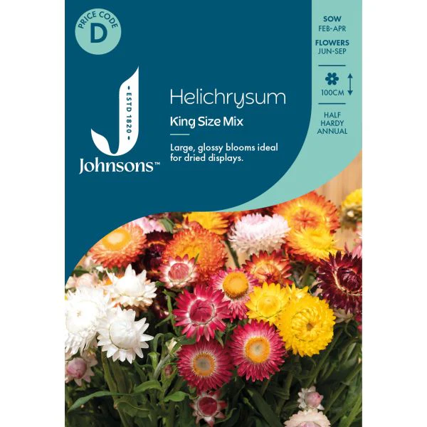 Helichrysum King Sze Mix Seeds