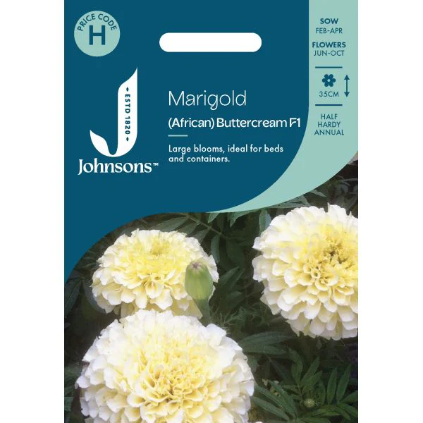 Marigold African Buttercream Seeds