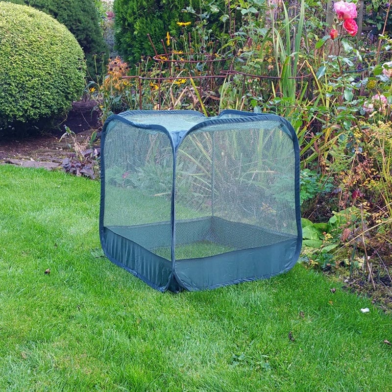 Mini Pop-Up Net Cube - Image 3
