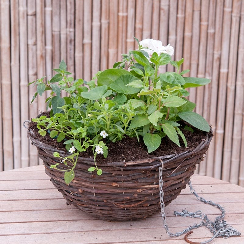 Multi-Coloured Basket Mix - Image 4