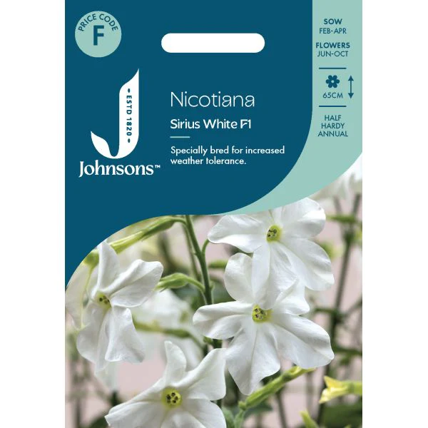 Nicotiana Sirius White F1 Seeds