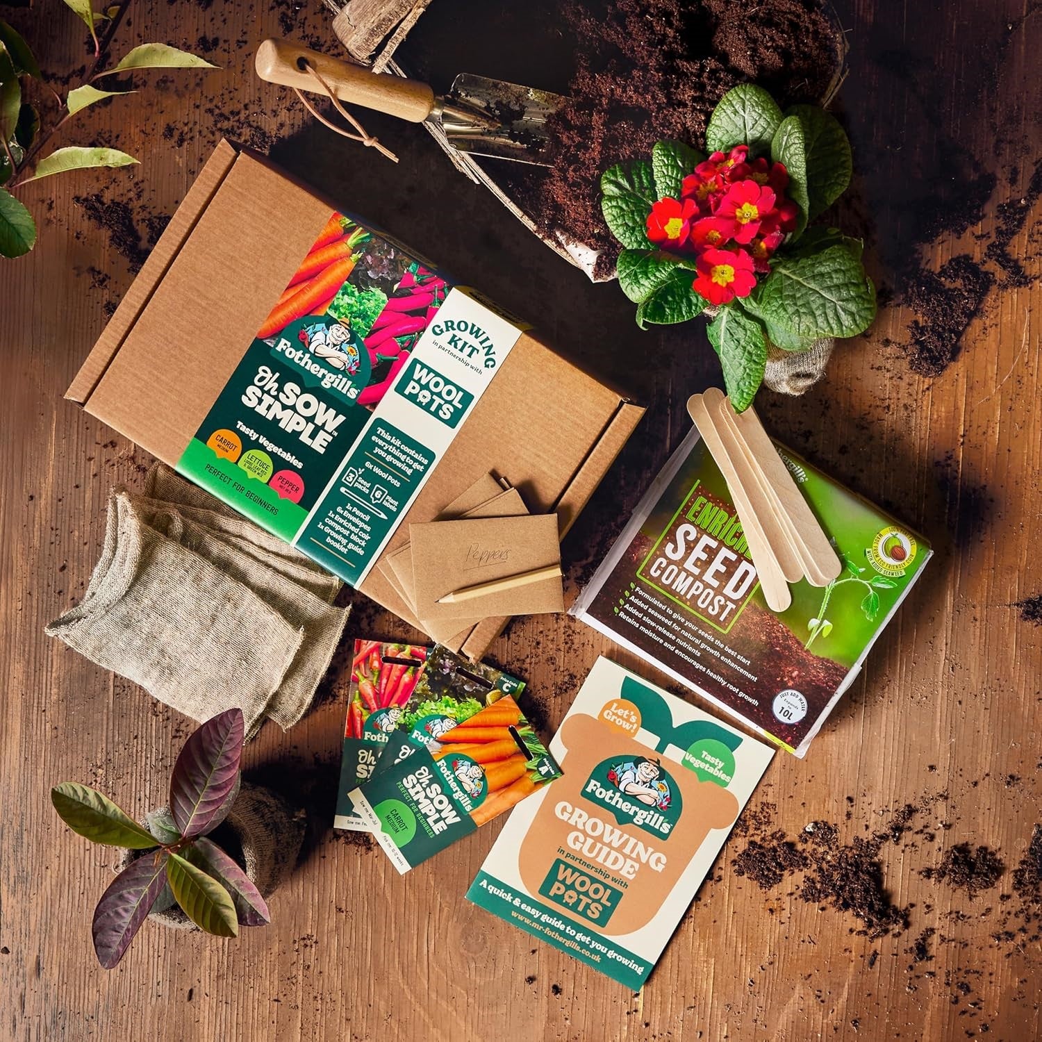 Oh Sow Simple Vegetables Growing Kit - Image 2