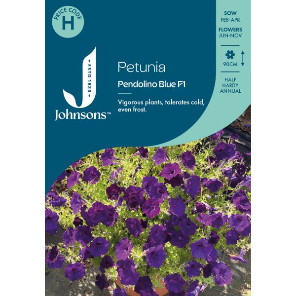 Petunia Pendolino Blue Seeds