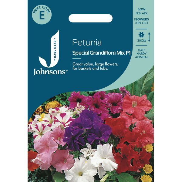 Petunia Special Grandiflora Seeds