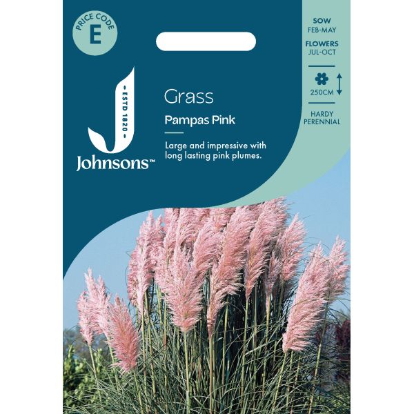 Pink Pampas Grass Seeds