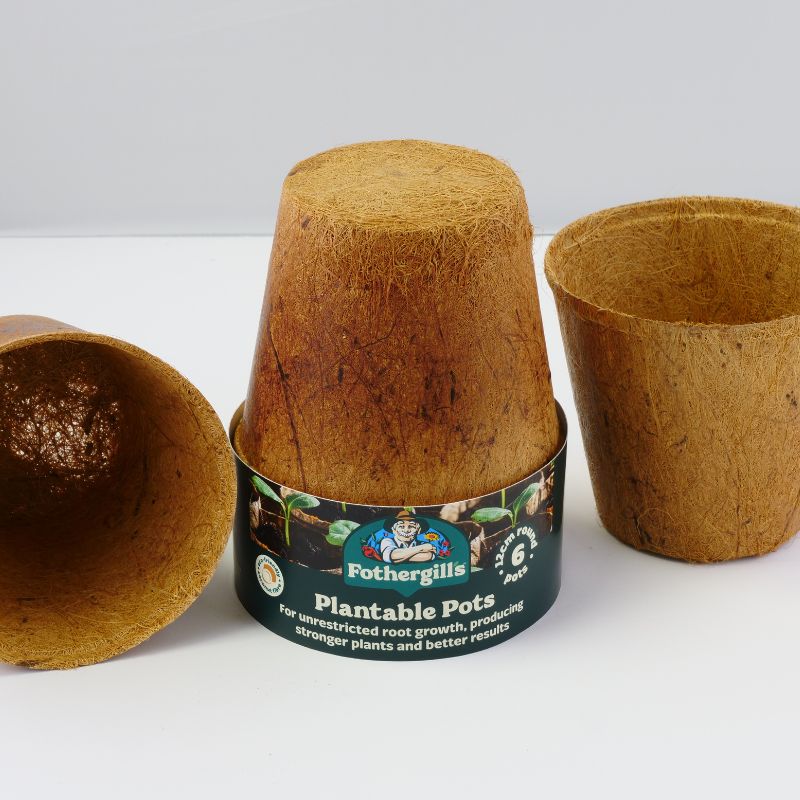 Plantable Pots 12 x 6cm - Image 2