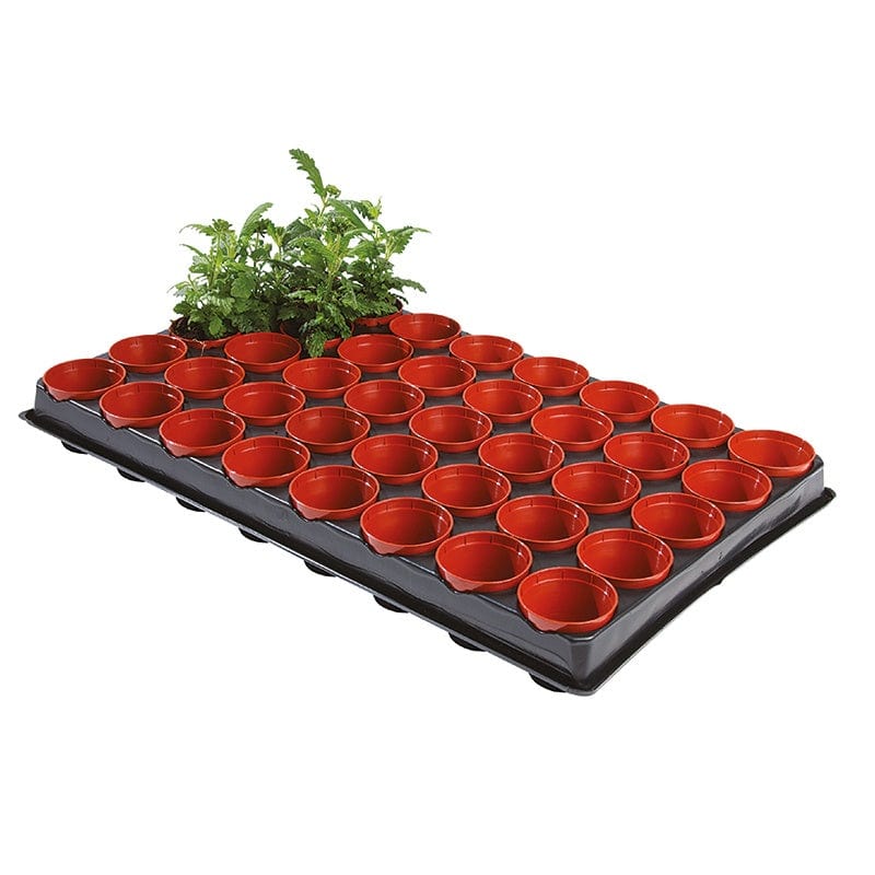 Seed and Cutting Tray (40x6cm Pots) with Replacement pots - Image 3