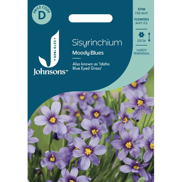Sisyrinchium Moody Blues Seeds