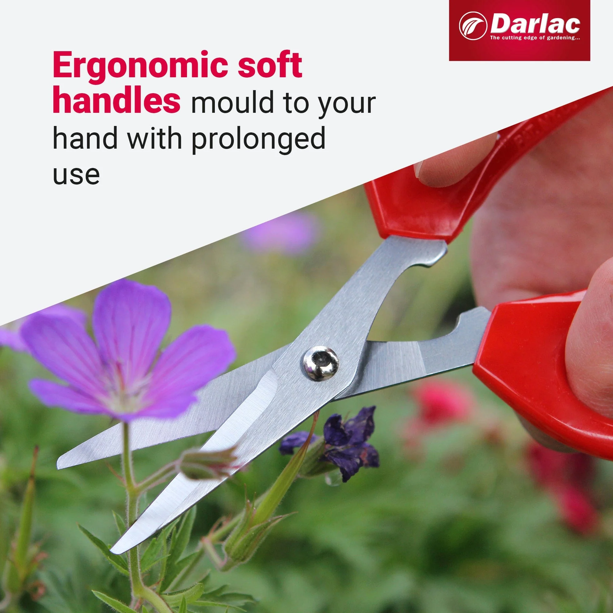 Darlac Softies Scissors - Image 4