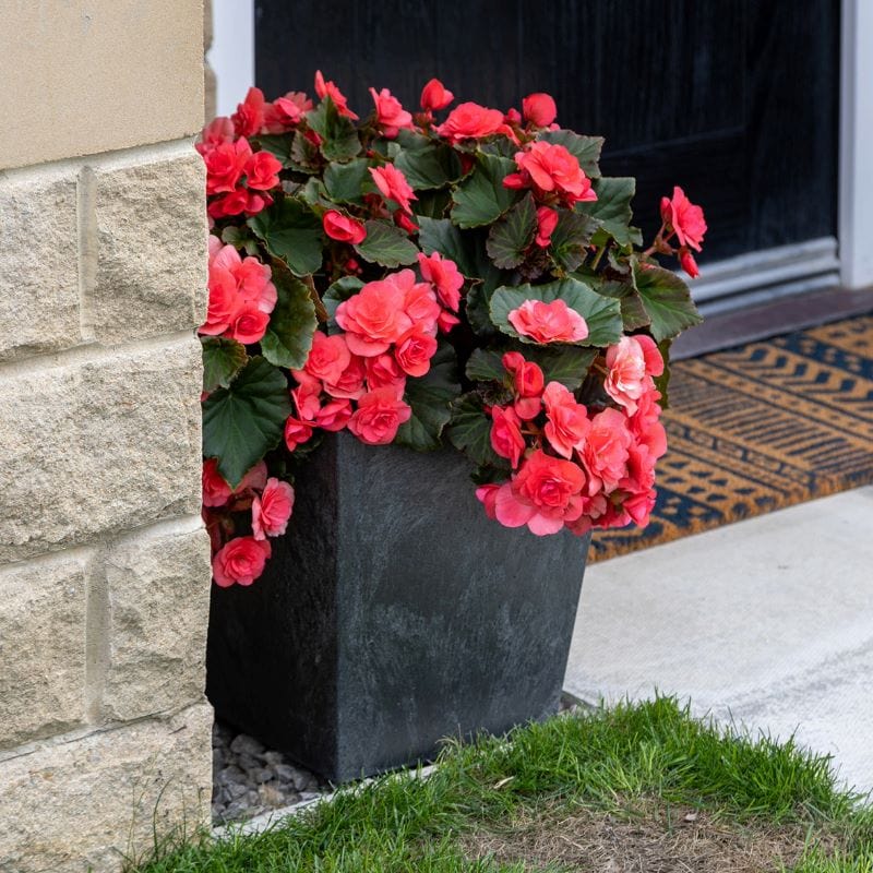 Sonata Planter 33cm Slate - Image 4