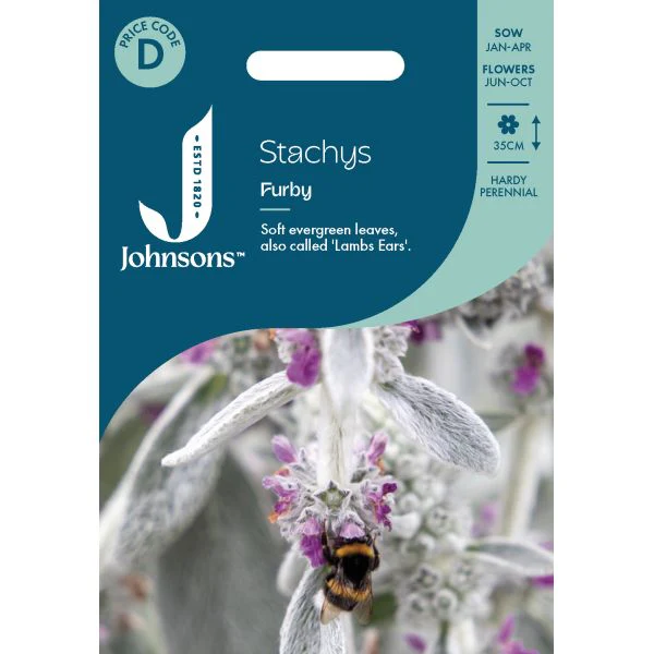 Stachys Furby Seeds