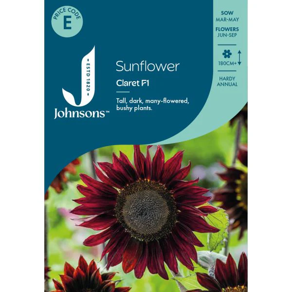 Sunflower Claret F1 Seeds