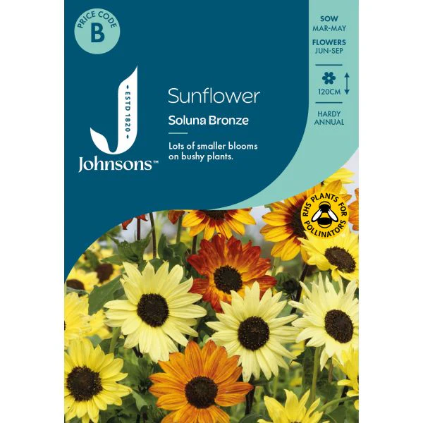 Sunflower Soluna Bronze Seeds