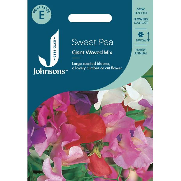 Sweet Pea Giant Wave Mixed Seeds