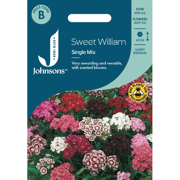 Sweet William Single Mixed Seeds