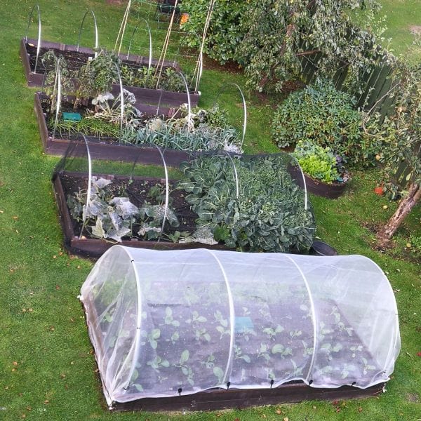 Garden Mesh Insect and Weather Netting - Image 2