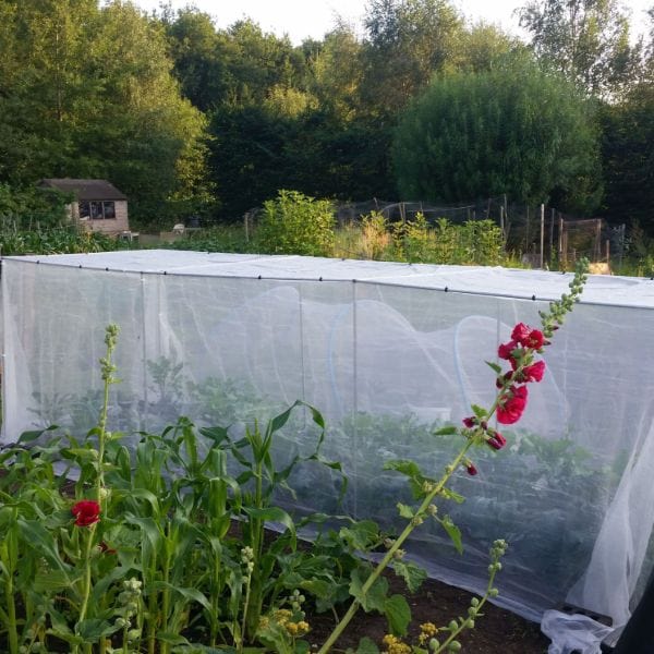 Garden Mesh Insect and Weather Netting - Image 3
