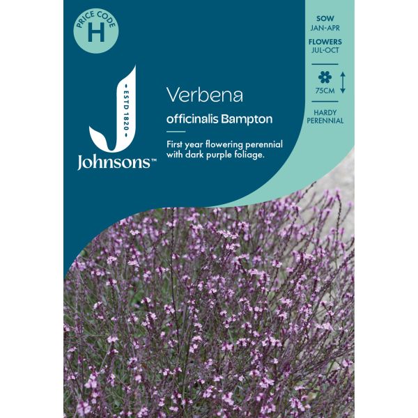 Verbena Officinalis Bampton Seeds