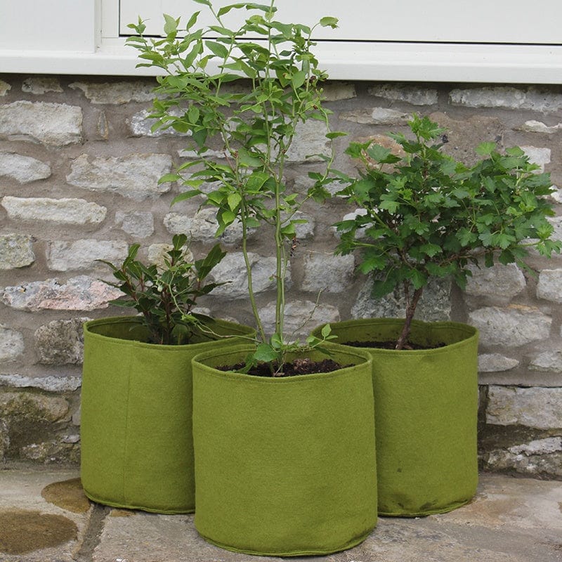 Vigoroot™ Pots 20ltr - Image 2