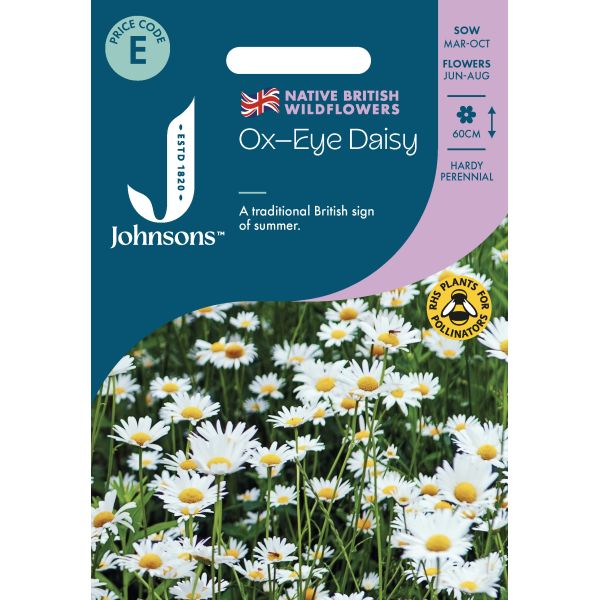 Wildflower Ox Eye Daisy Seeds
