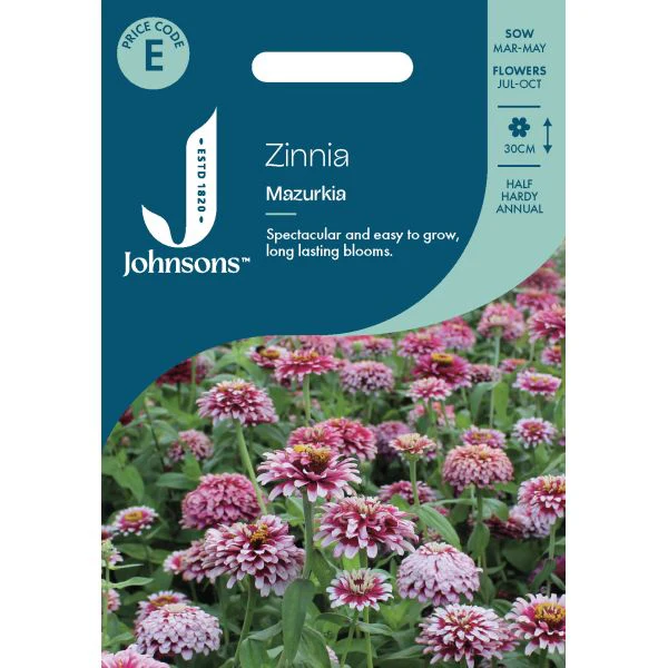 Zinnia Mazurkia Seeds